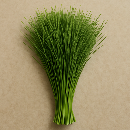 Fresh Durva (Bermuda grass)