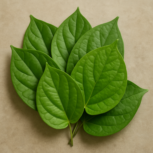 Fresh Pan Leaves