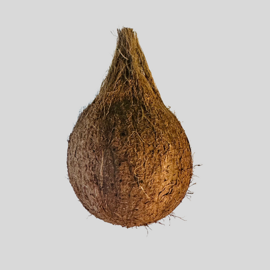 Pooja Coconut
