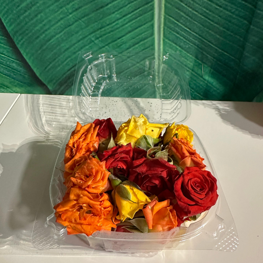 Fresh Rose Flowers