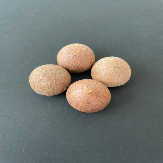 Supari Betel Nut Whole